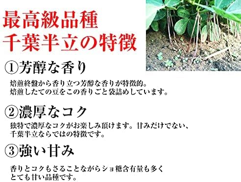 Unroasted Peanuts from Chiba Prefecture, 15.9 oz (450 g), Ungrilled Peanuts