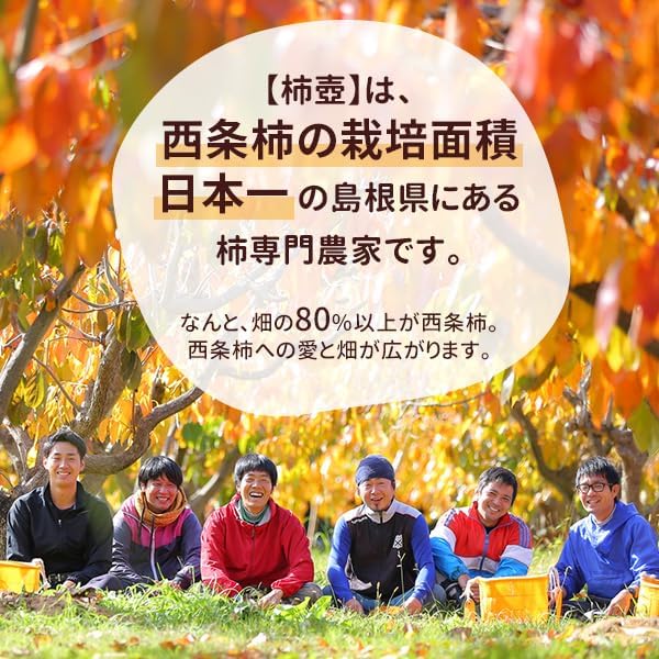 風味絶佳.山陰 Persimmon Farm "Kakitsubo" Saijo Persimmon Dried Persimmons 6 Pieces (Simple Packaging) Semi-Dry Dried Fruit No Additives Shimane Prefecture Product Persimmon Dried Persimmon Dried Persimmon