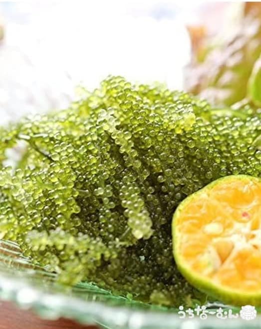 Uchina-Mun, Sea Grapes, Made in Okinawa Prefecture, 1.2 oz (33 g) + Sauce 0.2 oz (7 g) (When returned with water, it will become approximately 1.8 oz (50 g) per Okinawa Souvenir, 1 Box