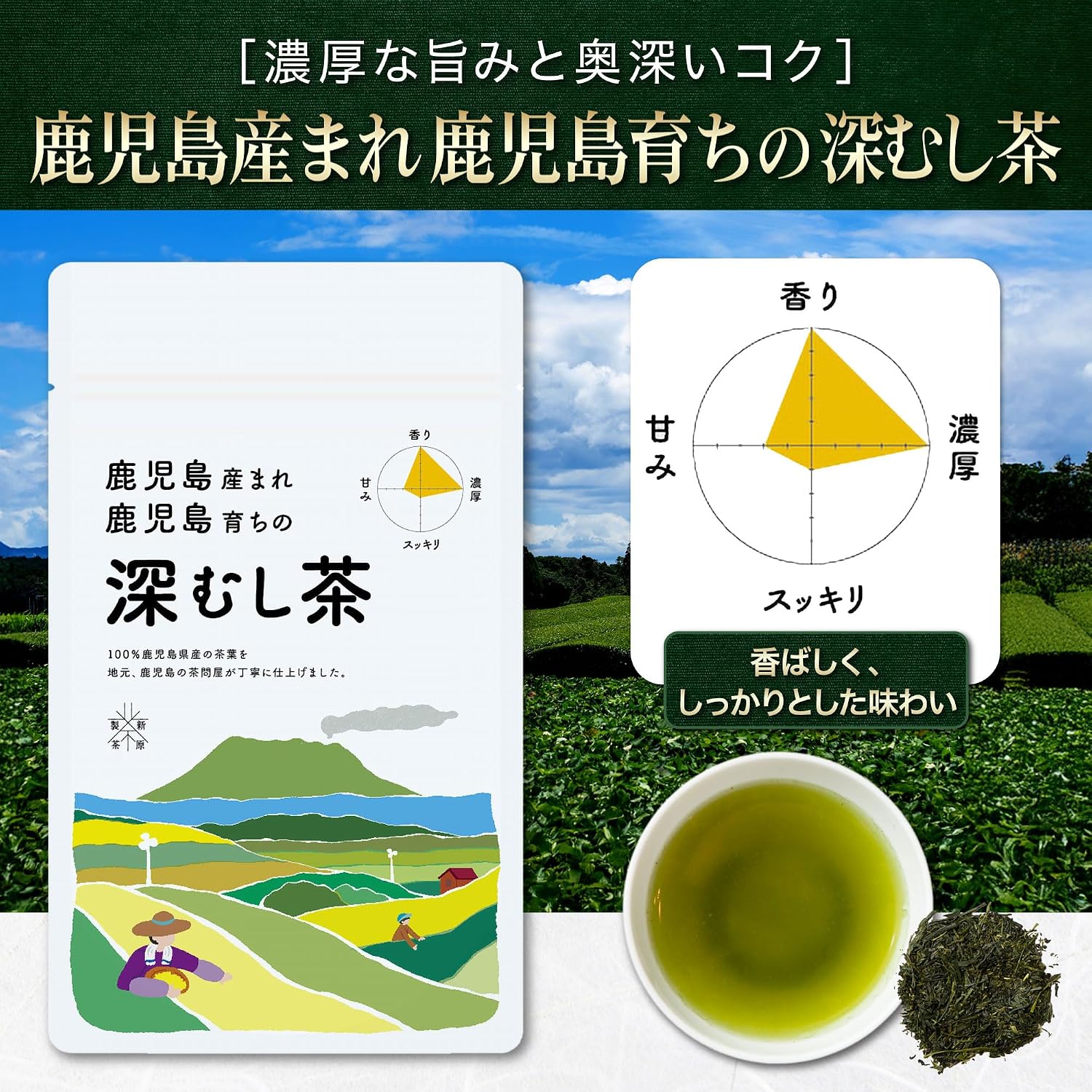 【Tea Merchant with 100 Years of History - Carefully Selected】Sencha Tea Leaves 3 Types Tasting Comparison Set, Tea Leaves Cold Brew Compatible【100% Kagoshima Prefecture Produced with Expert Roasting