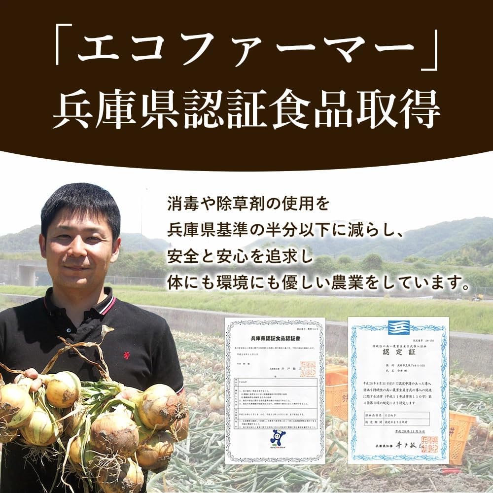 Awaji Island Onions and Awaji Beef Curry (10 bags) #Curry 10 bags#