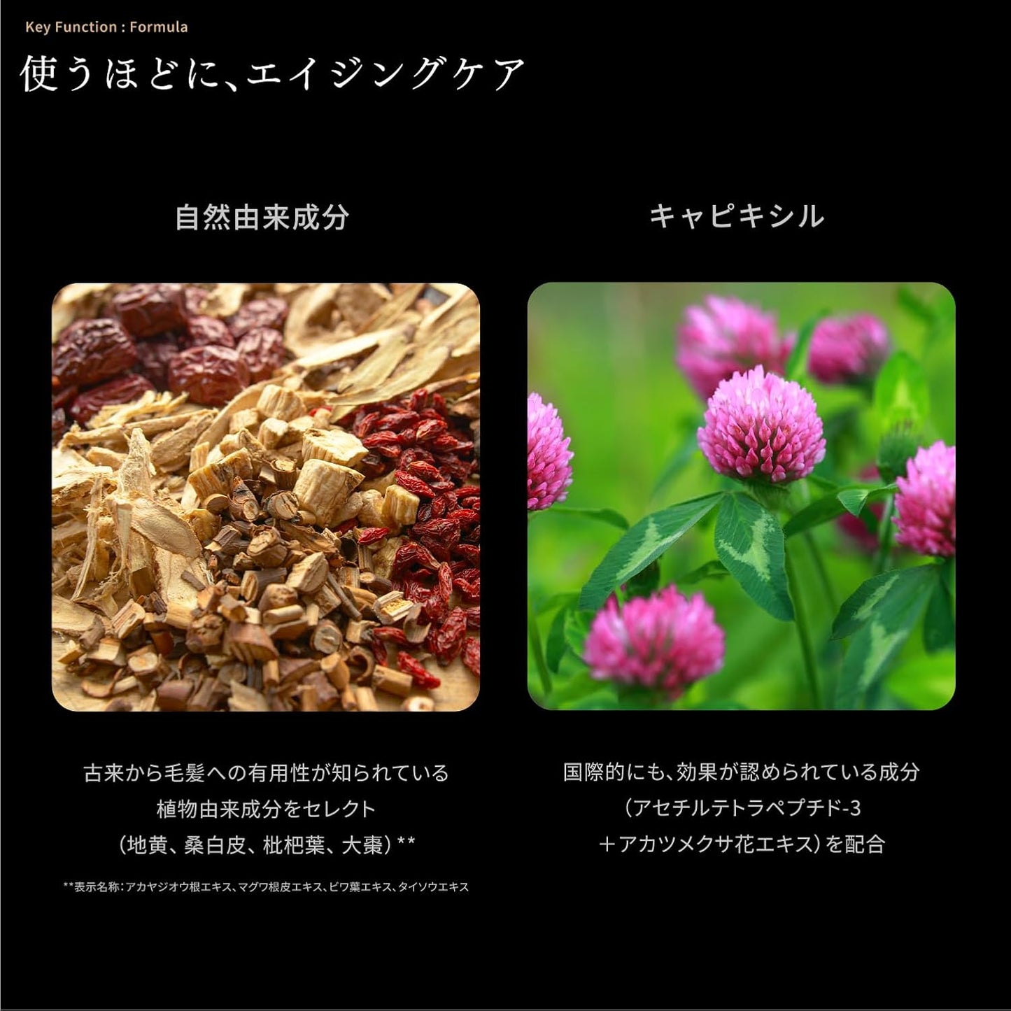 MOTEMASCARA CLEAR FIBER Mascara & Eyelash Serum, Aging Care, Mascara