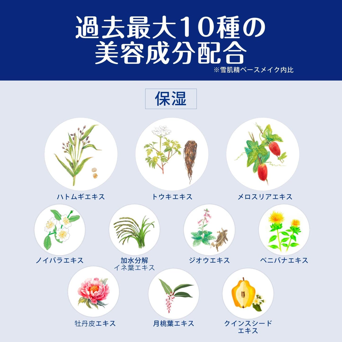 Sekkisei Bright BB Essence 02 Normal Brightness Natural Color 1.1 oz (30 g) BB Cream Foundation Makeup Base Beauty Essence Emulsion Sunscreen