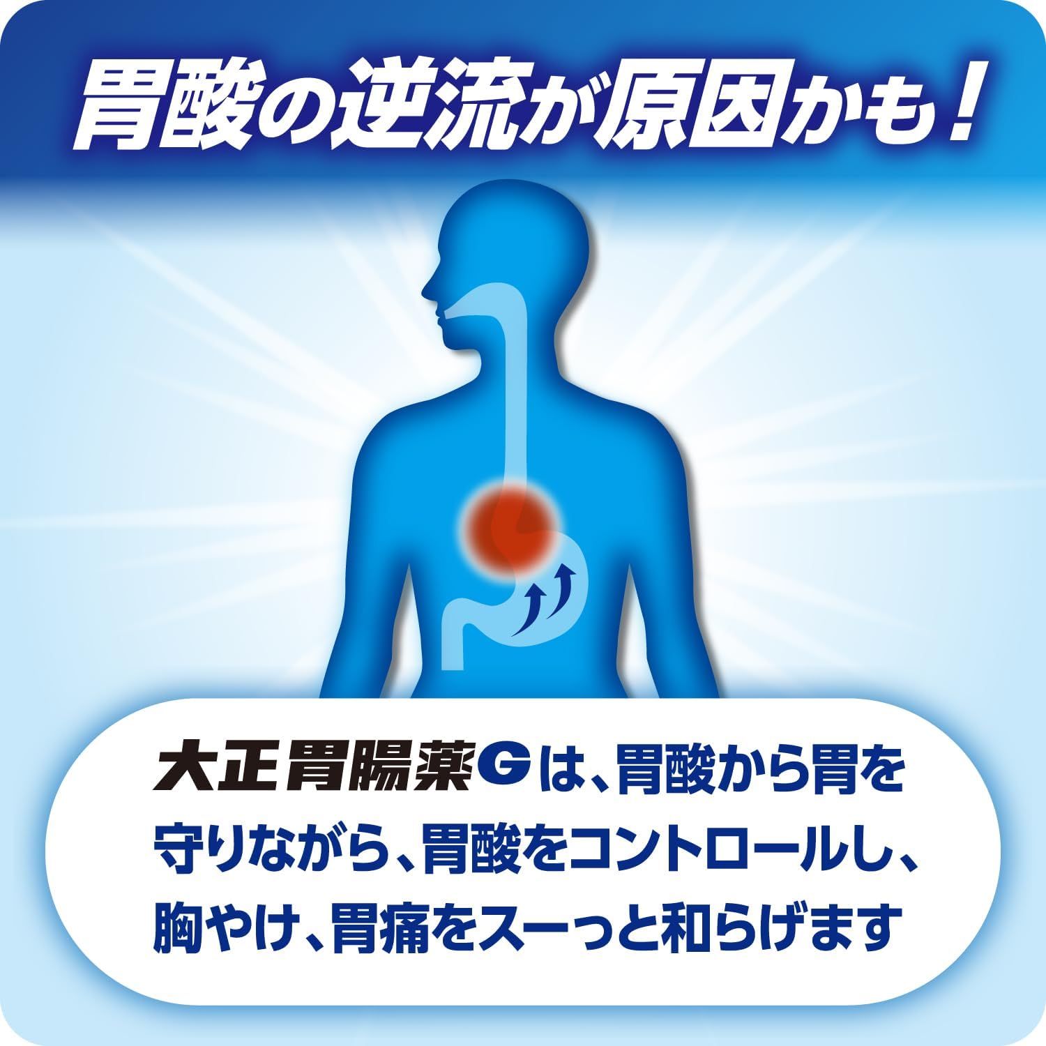 【第2類医薬品】大正胃腸薬G 12包