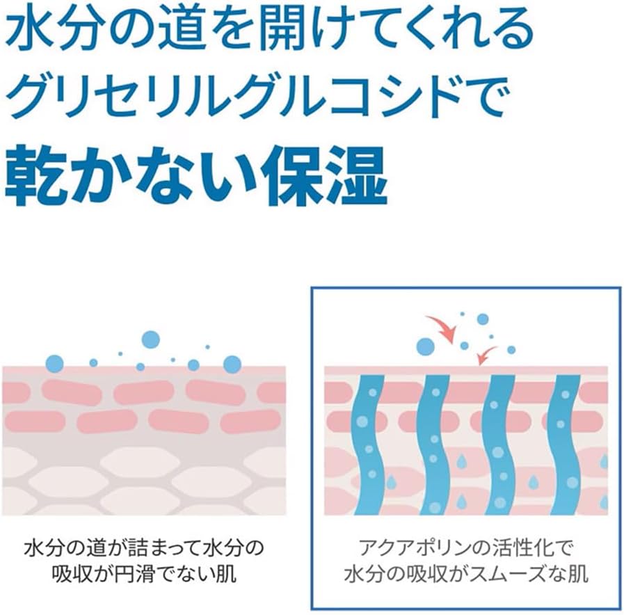 ROUND LAB Birch Juice Moisturizing Cream 2.8 fl oz (80 ml)