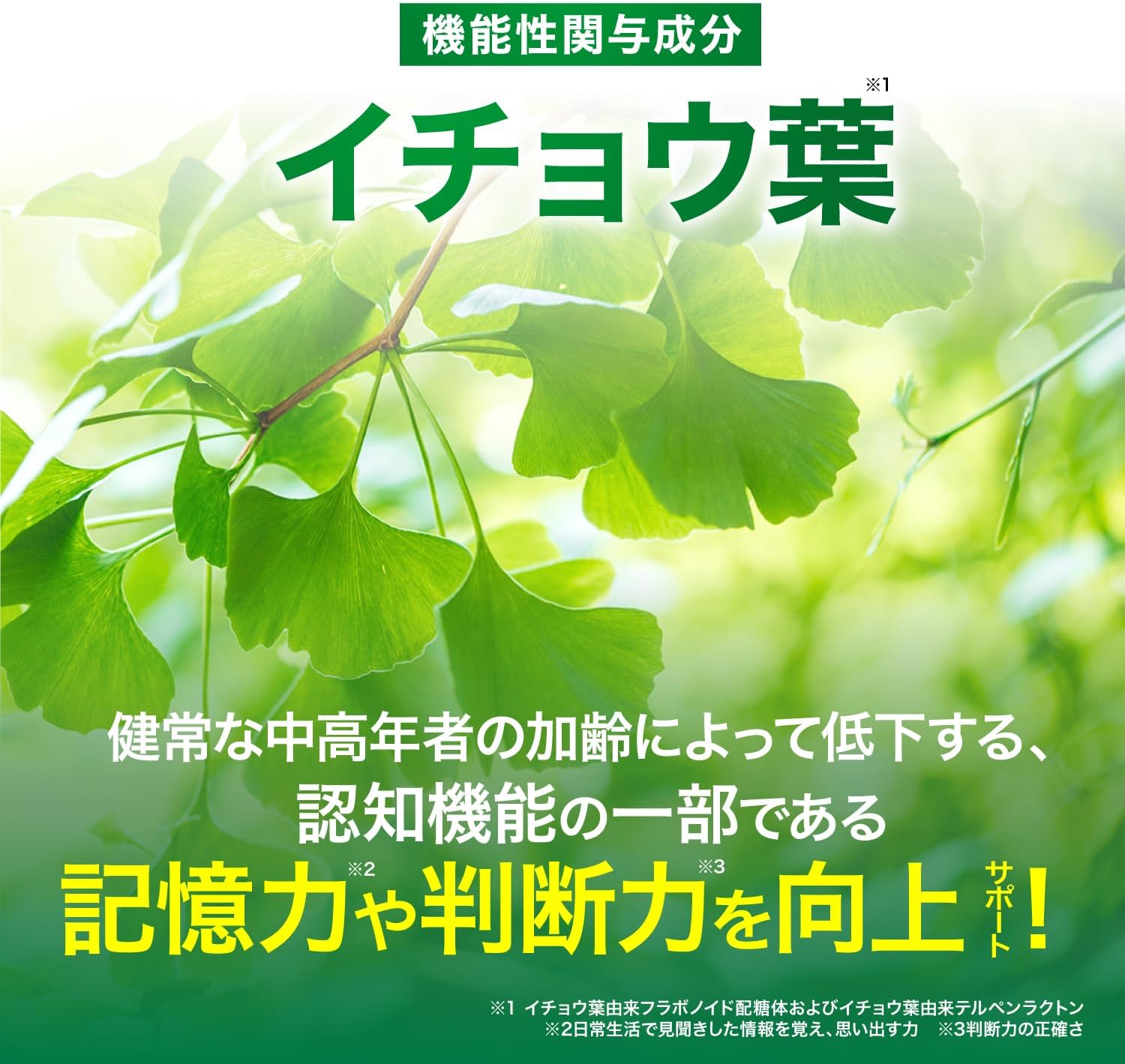 GABA K-1 Lactic Acid Bacteria & Ginkgo Leaf Blessing Food, Functional Claim, Convenient Intestinal Environment, Memory Power, Decision, Mental Stress & Fatigue, 60 Tablets