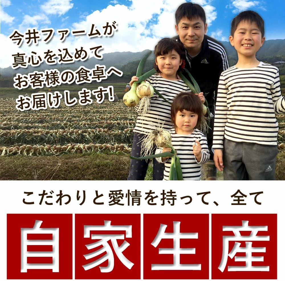 Awaji Island Onion and Awaji Beef Curry - (10 bags) #Curry - 10 bags #