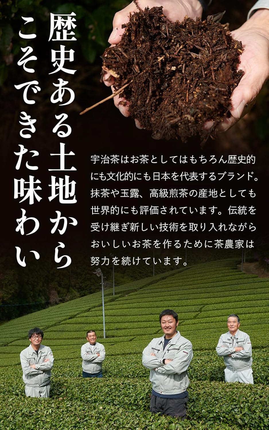 Kyoto Ujitawara Tea House Advanced Deep Steamed Bamboo Premium Tea Leaves Sencha Green Tea Uji Tea Japanese Tea Deep Steamed Tea Kyoto (100g x 2)