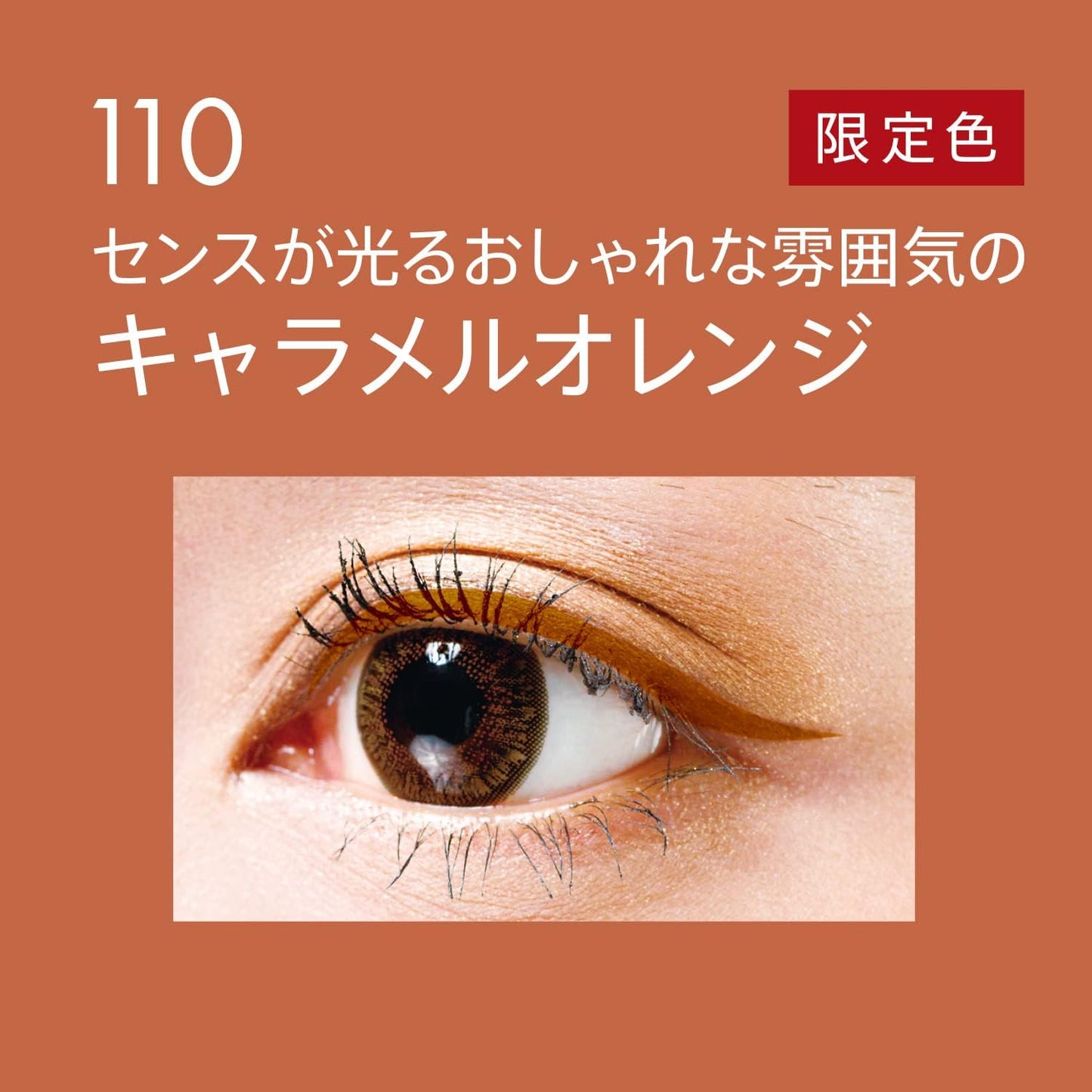 Rimmel WP 110 Lasting Liquid Eyeliner 0.5g