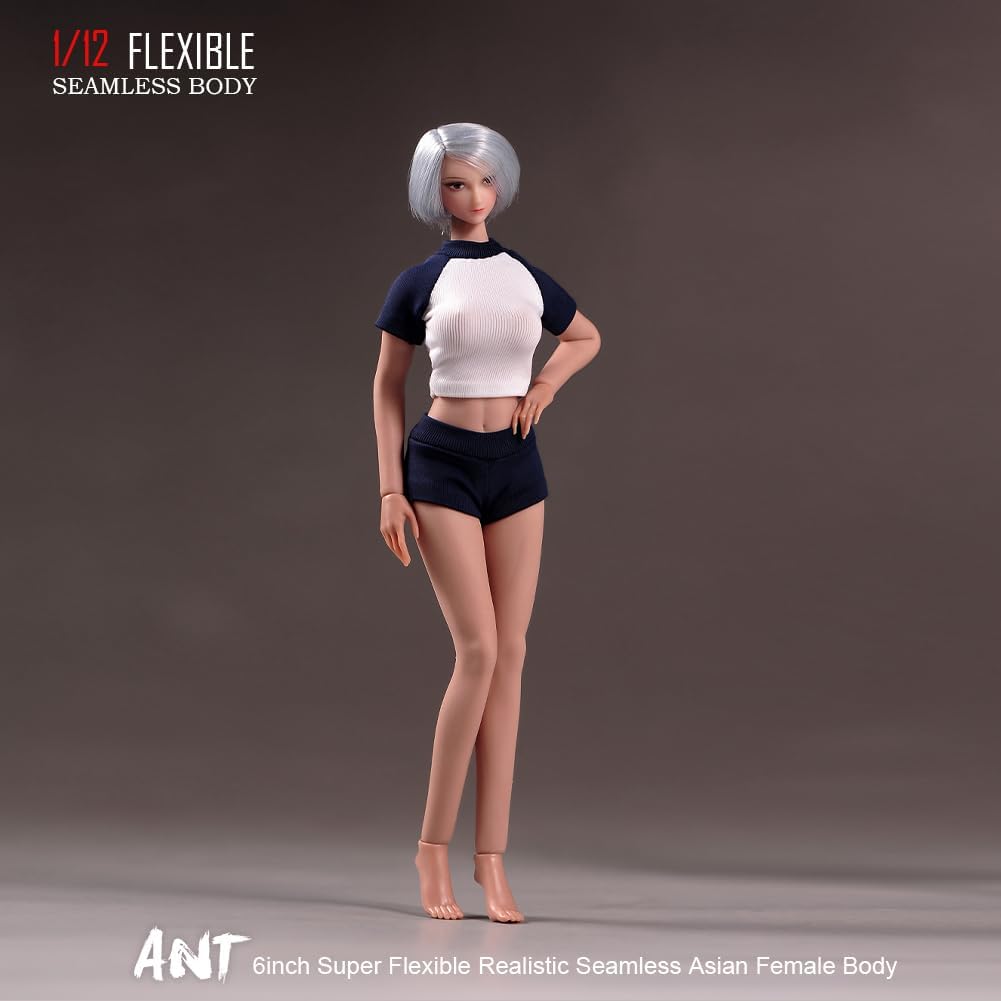1/12 scale female body, 6.inch ultra flexible 22 joints seamless female body micro beauty three-dimensional action doll, removable foot model, suitable for hobby collection (muscle muscles)