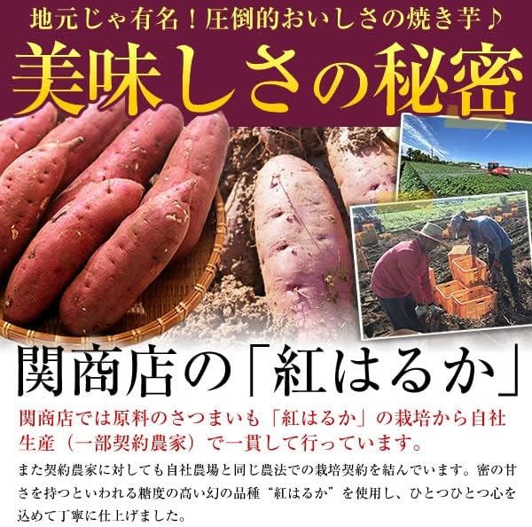 Seki Shoten Roasted Sweet Potatoes, Frozen Roasted Sweet Potatoes, Beni Haruka, Sweet Potatoes, Ibaraki, Domestic, Total 17.6 oz (500g × 1 bag), Sumifuru, No Coloring Added, Soft, Sweet, Moist, Sweets