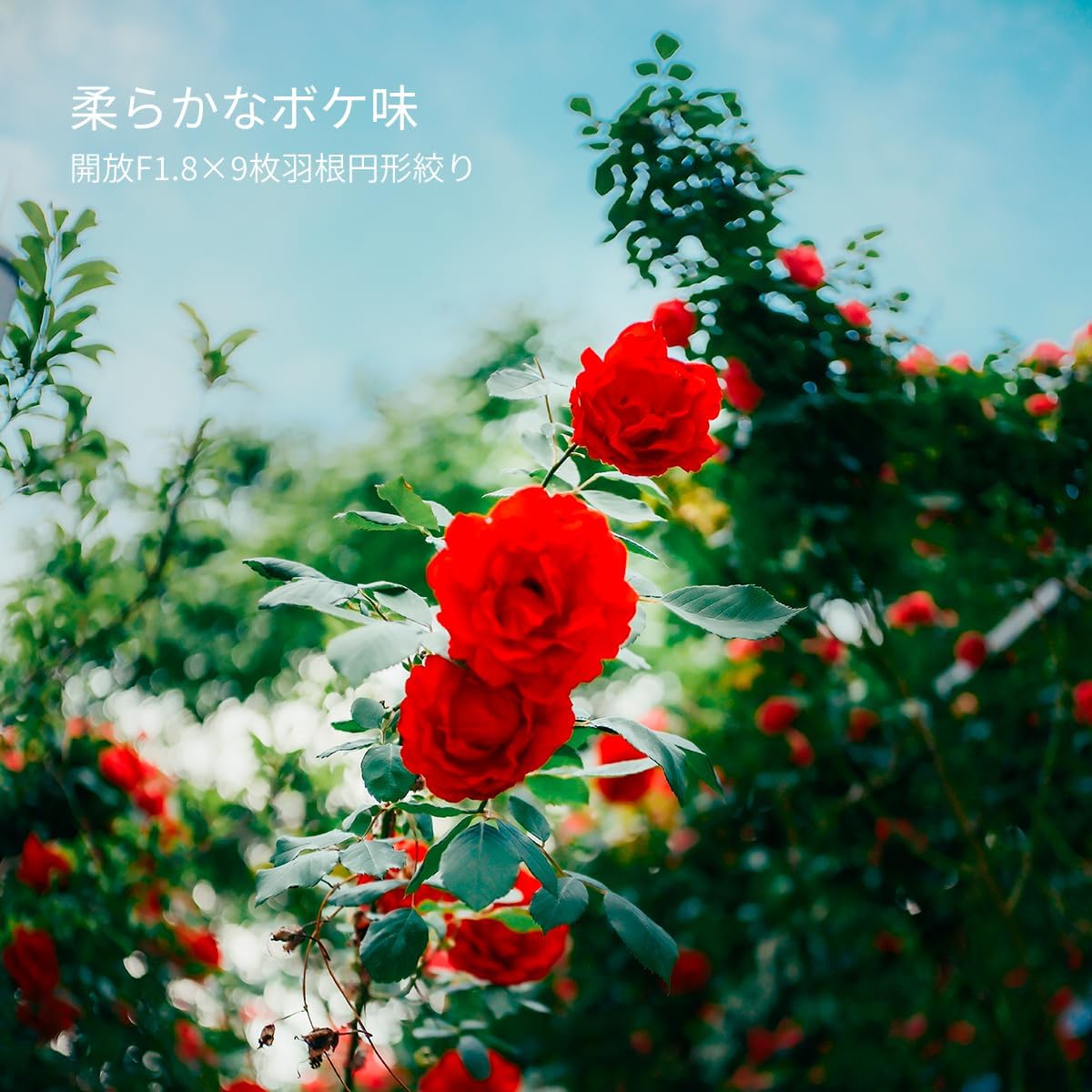 SG-image AF 1.0 inch (25 mm) F1.8 X Mount Black