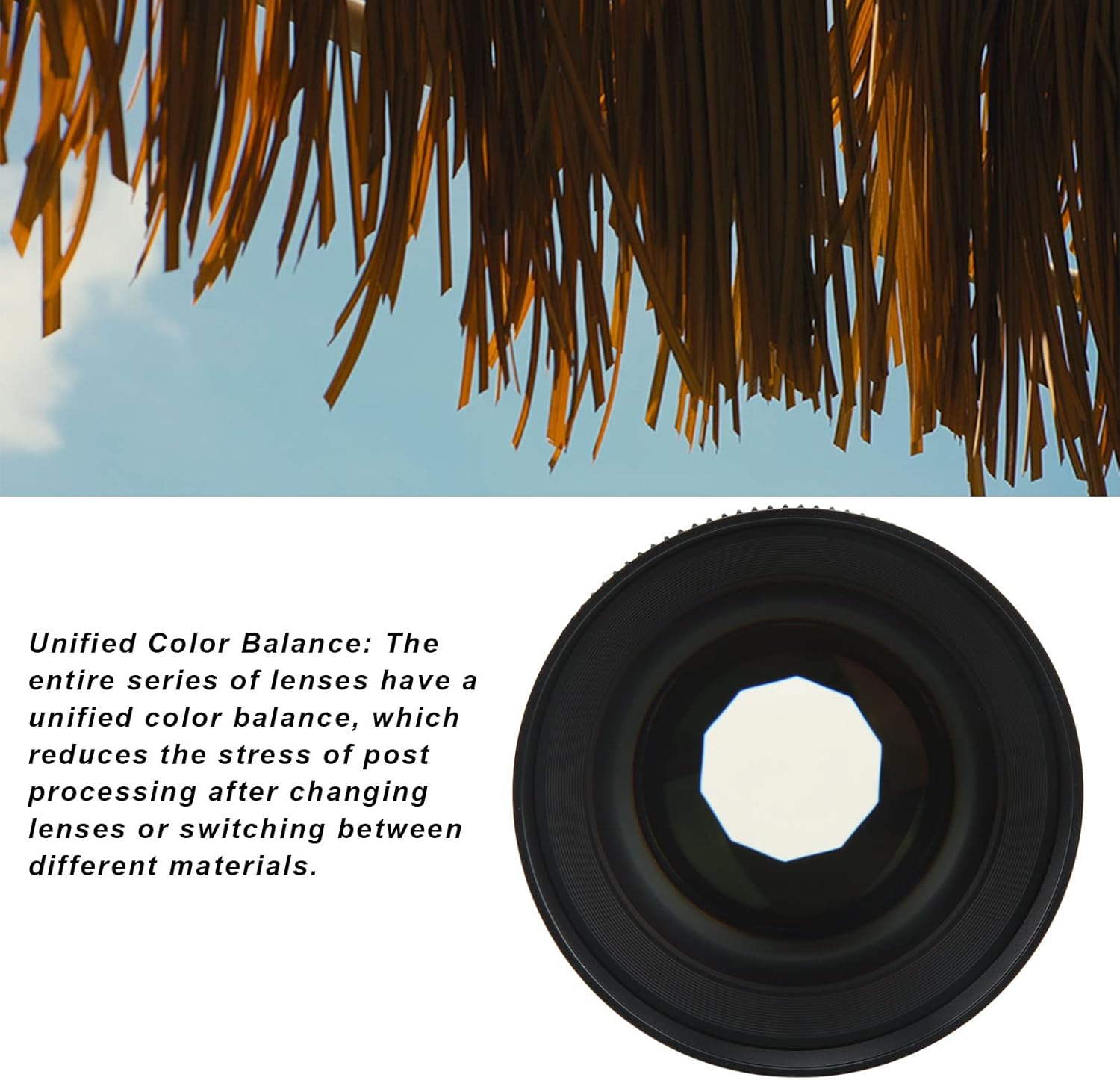 T2.0 Cinema Lens for Sigma FP FPL, Cine Lens 85mm Manual Focus Large Aperture for S1 S1R S1H S5 for Leica SL SL1 SL2 L Mount Camera, Mount Camera and Cinema Camera