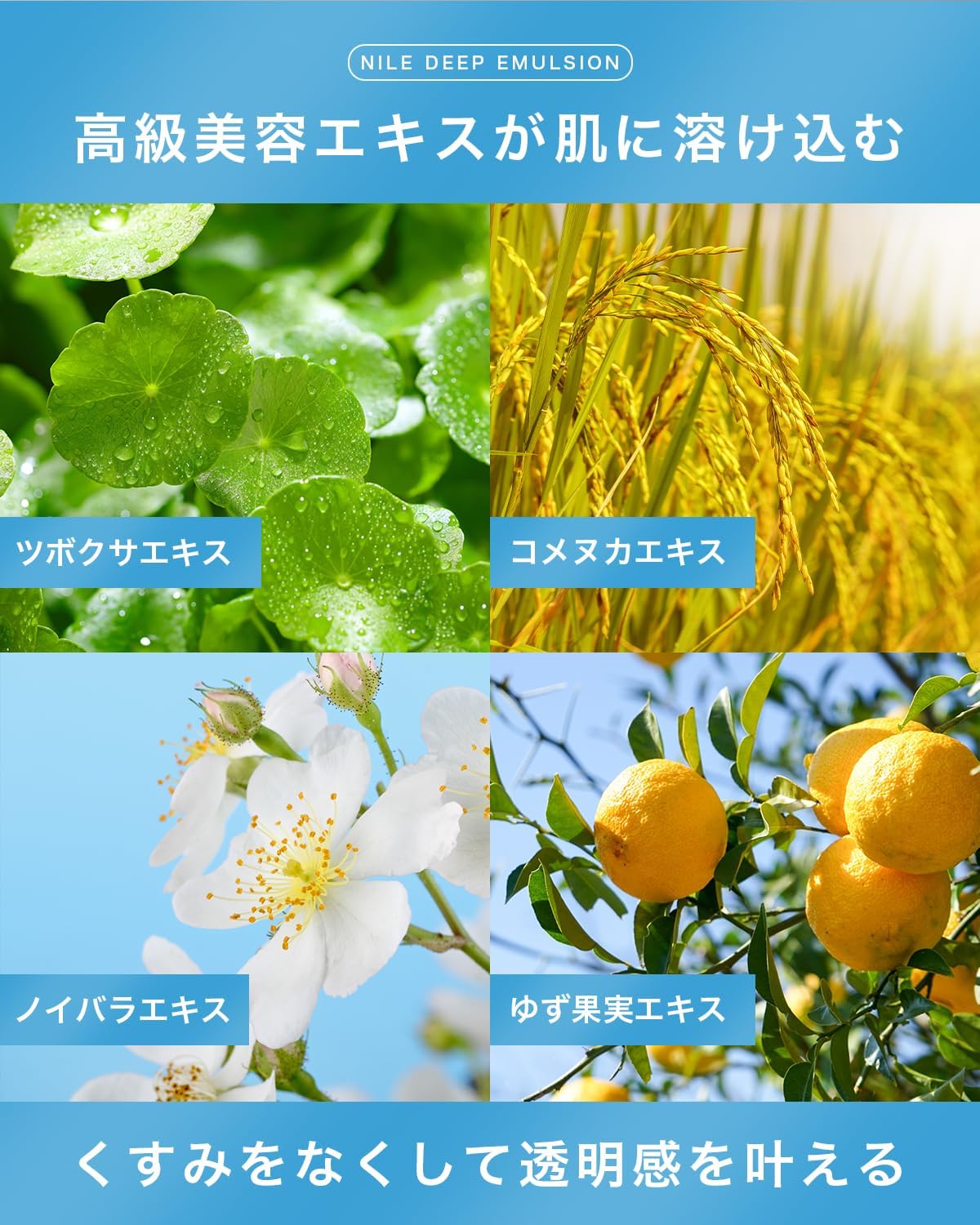 NILE Men's Deep Emulsion Milky Lotion (LaFrance Scent)