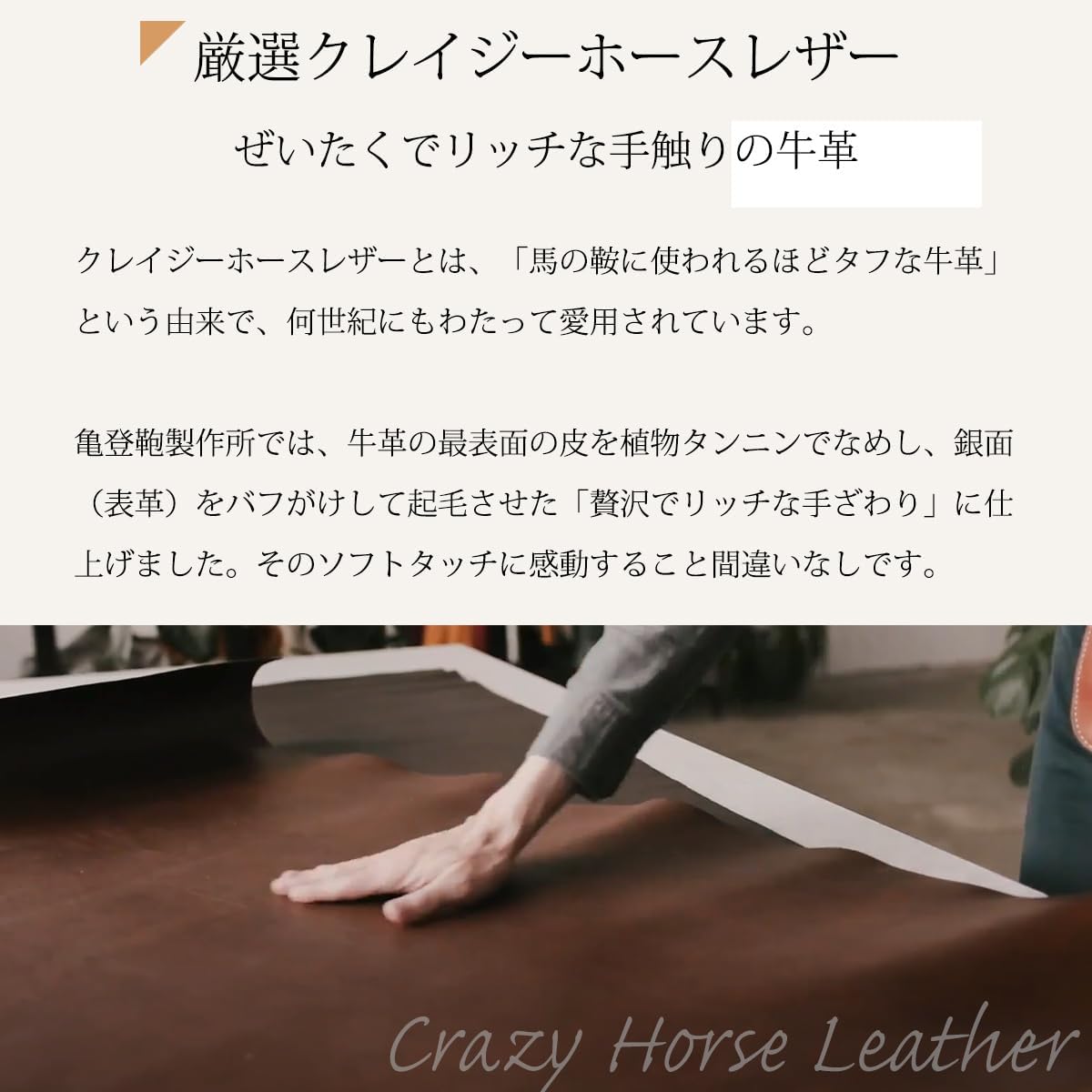 Kameto Bag Manufacturing Men's Credit Card Case, Genuine Leather, Card Slot, Thin, green