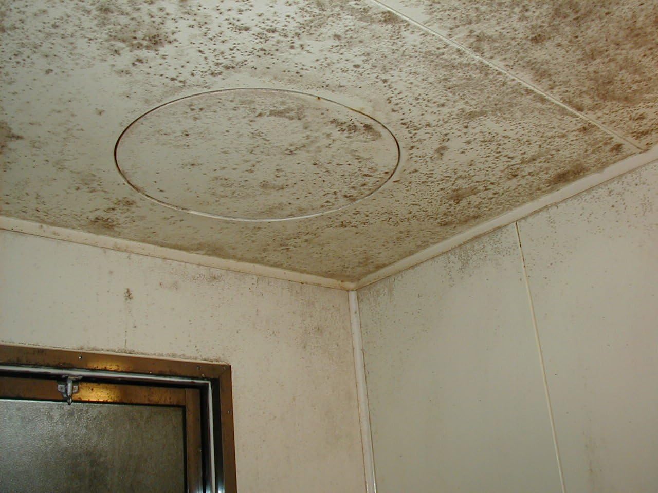 (High concentration, high permeability! Non-decomposition formula repels mildew!) Mold removal craftsman prescription 20 L!