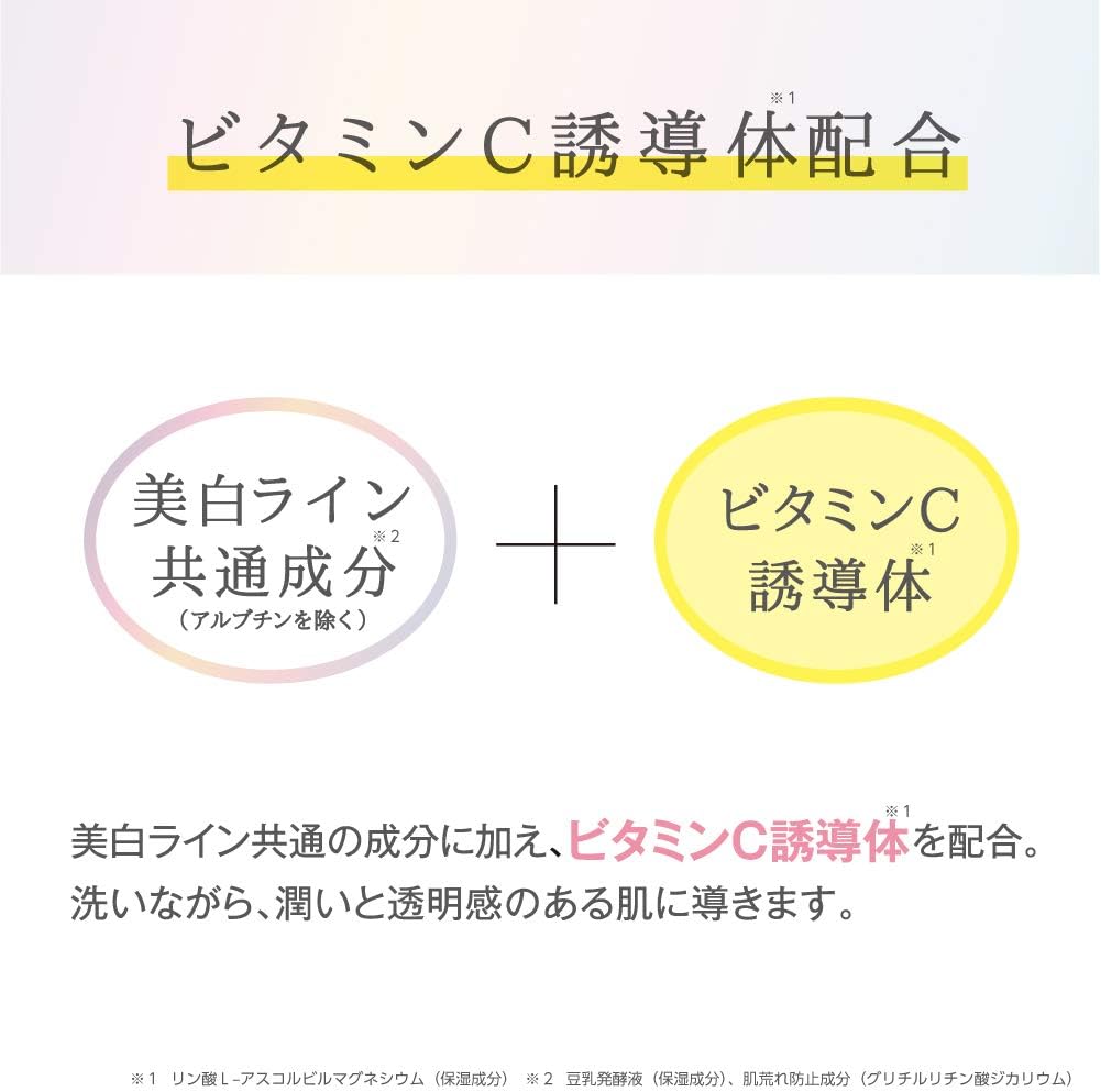 Nameraka Honpo Medicated Cleansing Face Wash N 5.3 oz (150 g) Soy Milk Isoflavone Facial Cleansing Foam