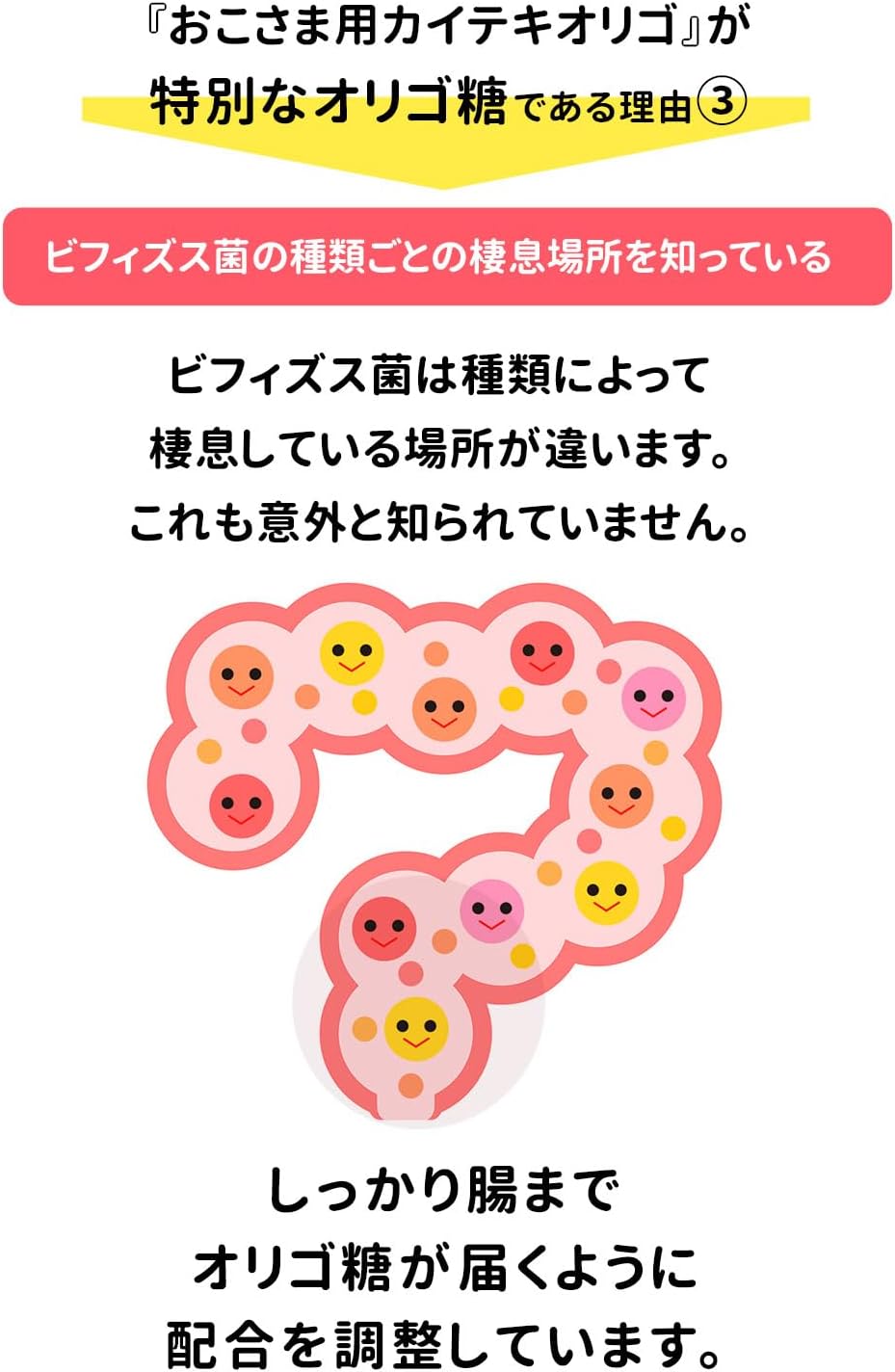 Baby Oligosaccharide, Kita no Kaiteki Koukoubou Kaiseki Oligo, For Okosama, Approx. 1 Month Supply, 3.2 oz (90 g), Kaiteki Oligo, Okosama, Baby Powder, Baby Beet Oligosaccharide, Comfortable Oligo