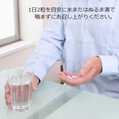 Kobe Rohas Food's Pure Citrulline & Arginine Capsules, 60 Pills for Approx. 30 Days, Made in Japan, Supple Works'