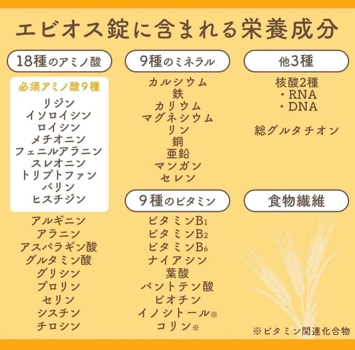 エビオス錠 2000錠 胃腸 栄養補給薬 【指定医薬部外品】 (1)