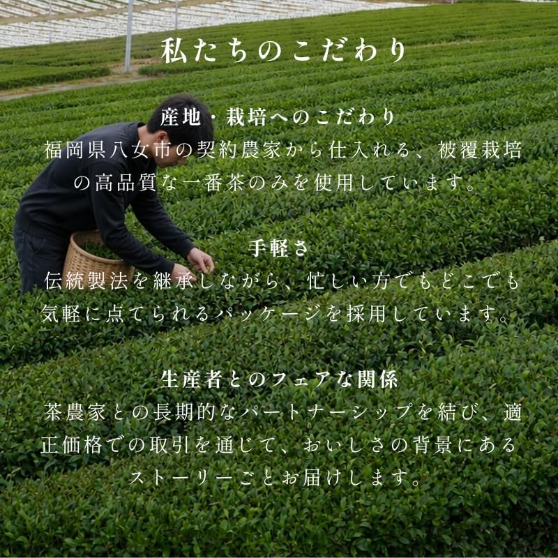 Yame Matcha, 1.1 oz (30 g), Zippered Pouch, 100% Made in Japan, Additive-free, Color-free, Matcha Powder, Uses Only the Best Tea Grown in Yaome City, Fukuoka Prefecture, The Darumatcha Classic