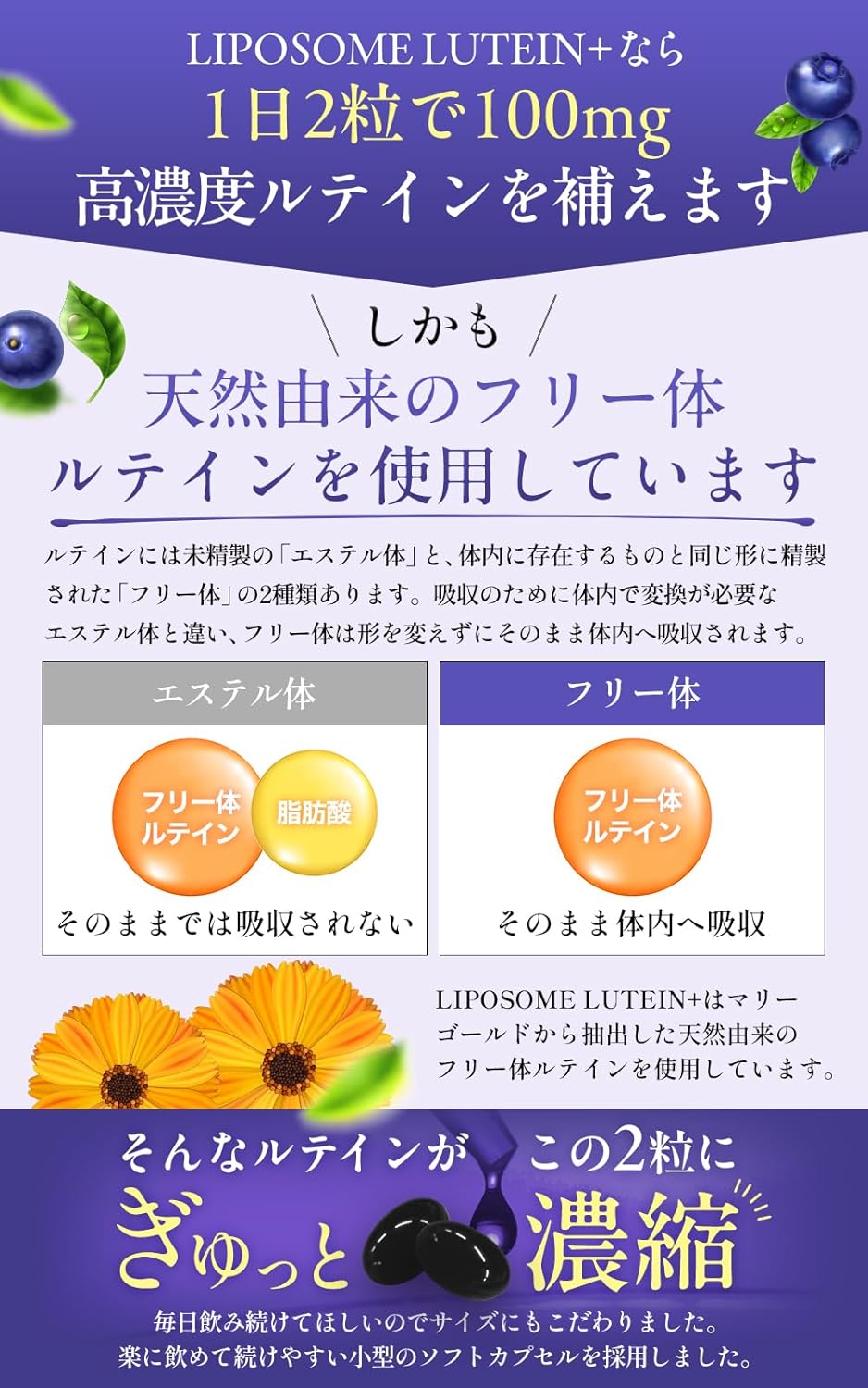 【World No.1 in Sales】 Liposomal Lutein Supplement 【Featured on TV】 High Concentration, High Absorption, Sustained Release LIPOSOME LUTEIN+ 2 capsules with 100mg Zeaxanthin Blueberry Nutritional