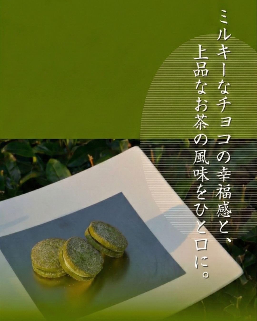 Patisserie Ichiryu Flavorful Tea Premium Milky Sand, Set of 9 | Uses Rice Flour, Produced in Fukuoka Prefecture, Gluten Free Cookies