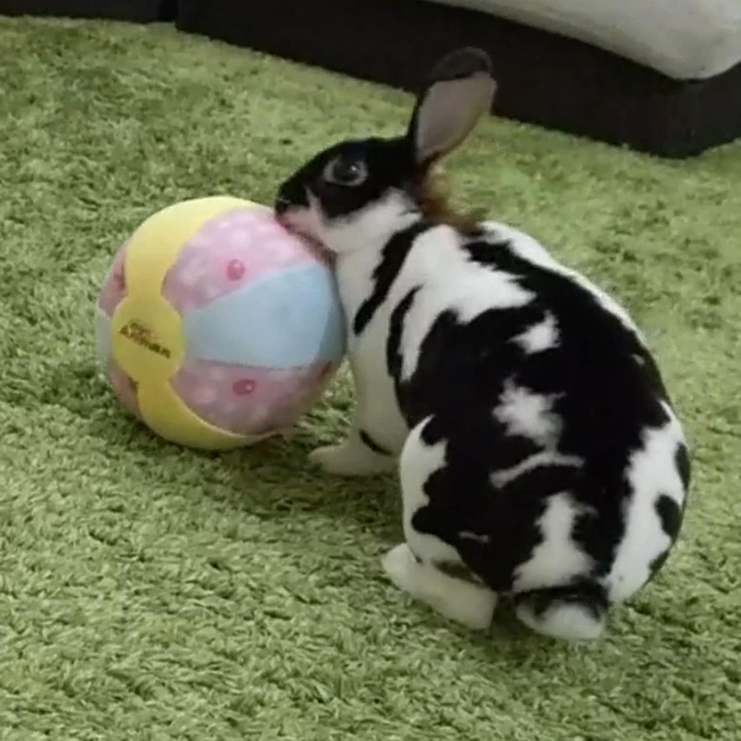 Mini Animan (Exclusive) Rabbit Toy, Big Soft Ball Set of 2