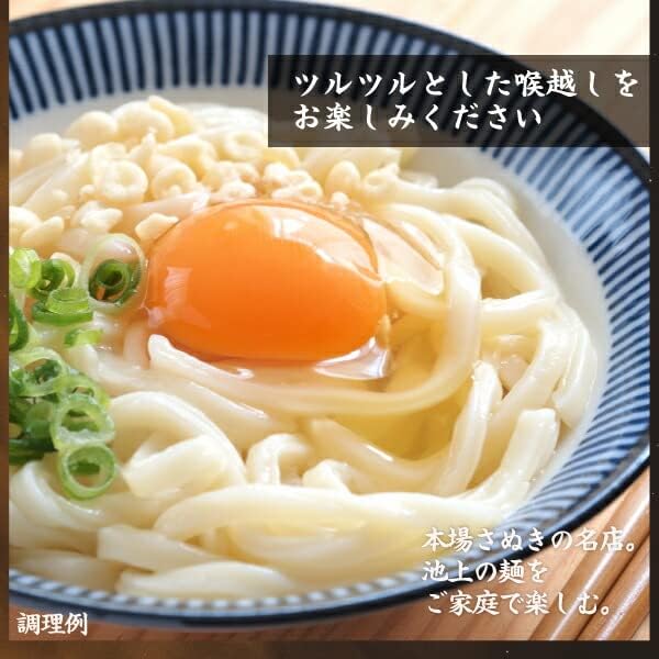 Specialty Kamatama Udon Noodles from Ikegami Noodle Factory, 6 Servings, Sanuki Udon, Local Gourmet, Direct from Producer, Donmai