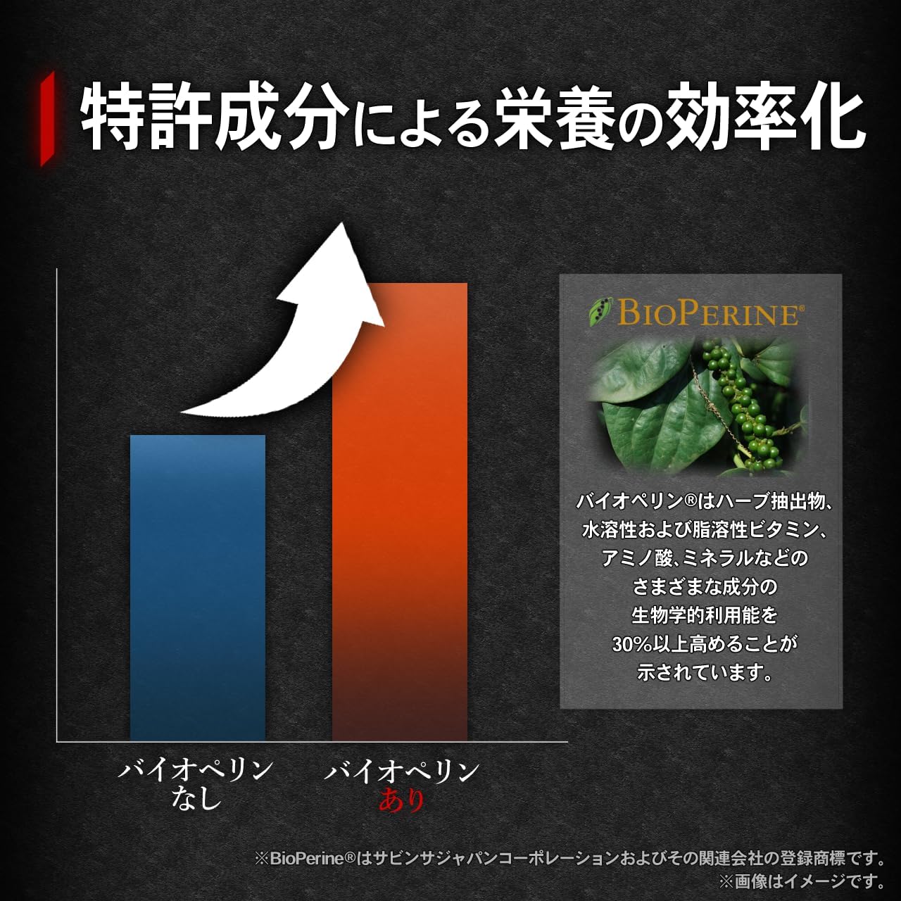 NOXY (Nokushii) NO Series Beats (Sabeat) Citrulline, Arginine, Bioperine, 5 Support Ingredients