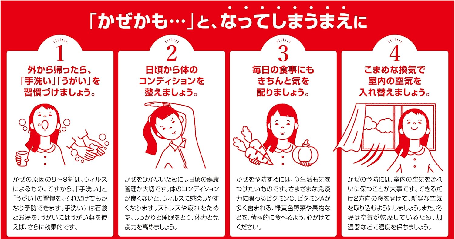 【指定第2類医薬品】パイロンPL錠 48錠