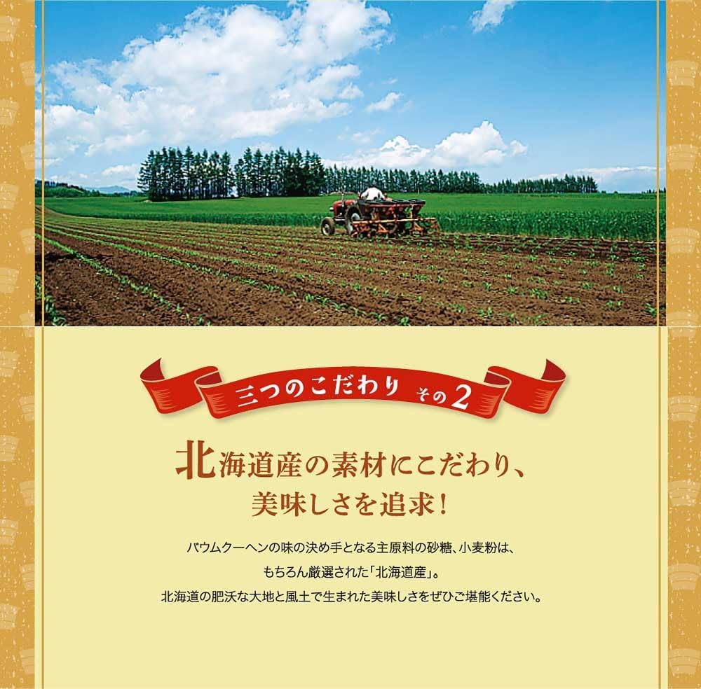 Ryugetsu Sanpo-Roku Plain 1 Piece x 2 Set Hokkaido Souvenir Baumkuchen Present Gift