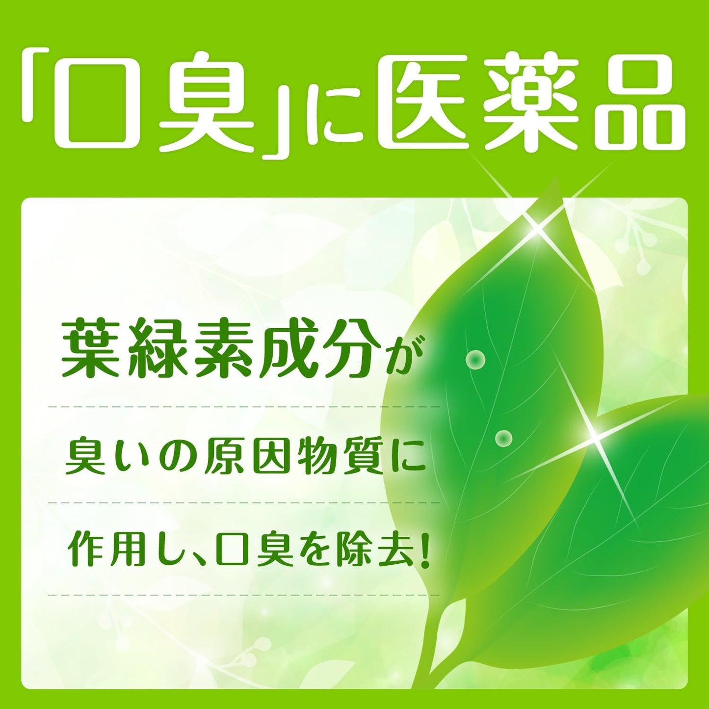 【第3類医薬品】サクロフィール錠 12錠