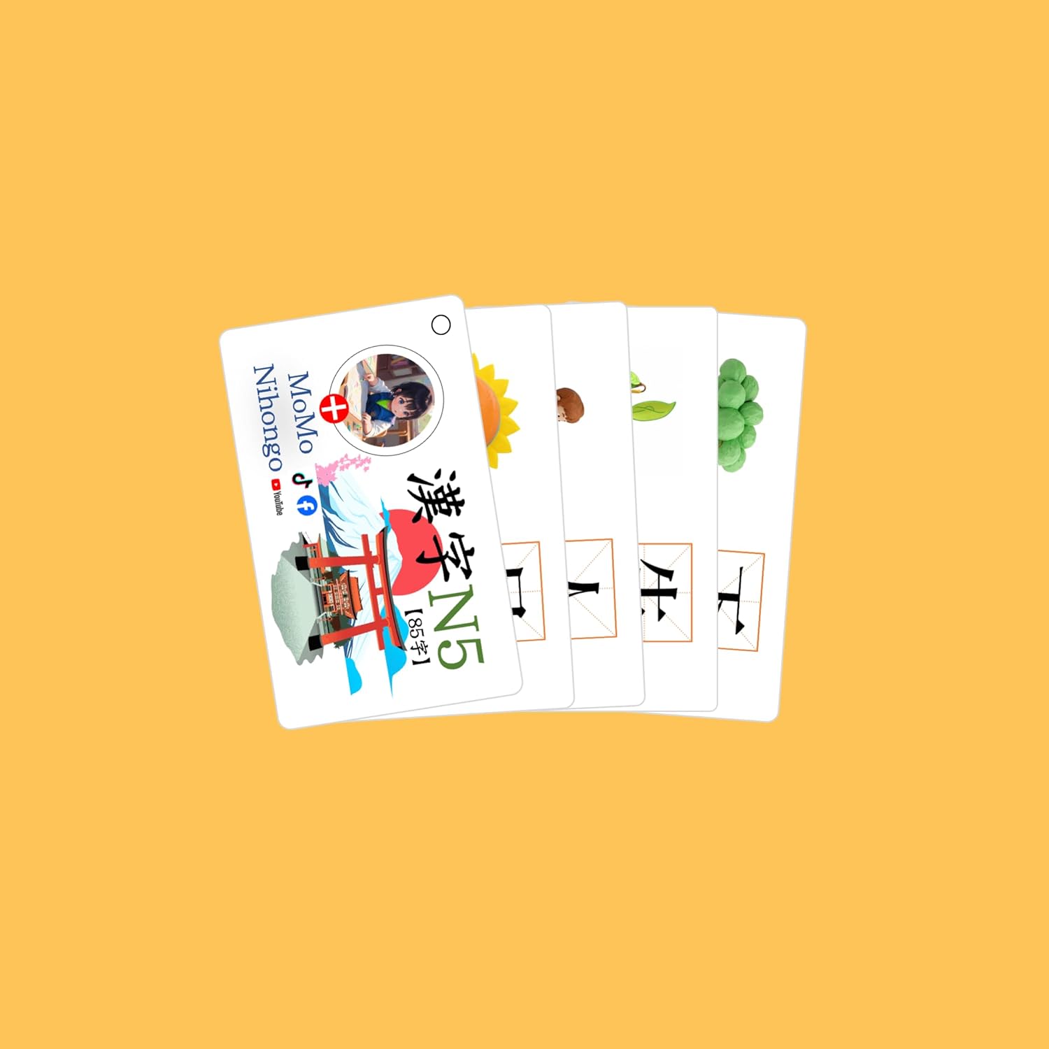 N5 - JLPT N5 Kanji Flashcards Japanese Language Proficiency Test with English (日本語能力試験)