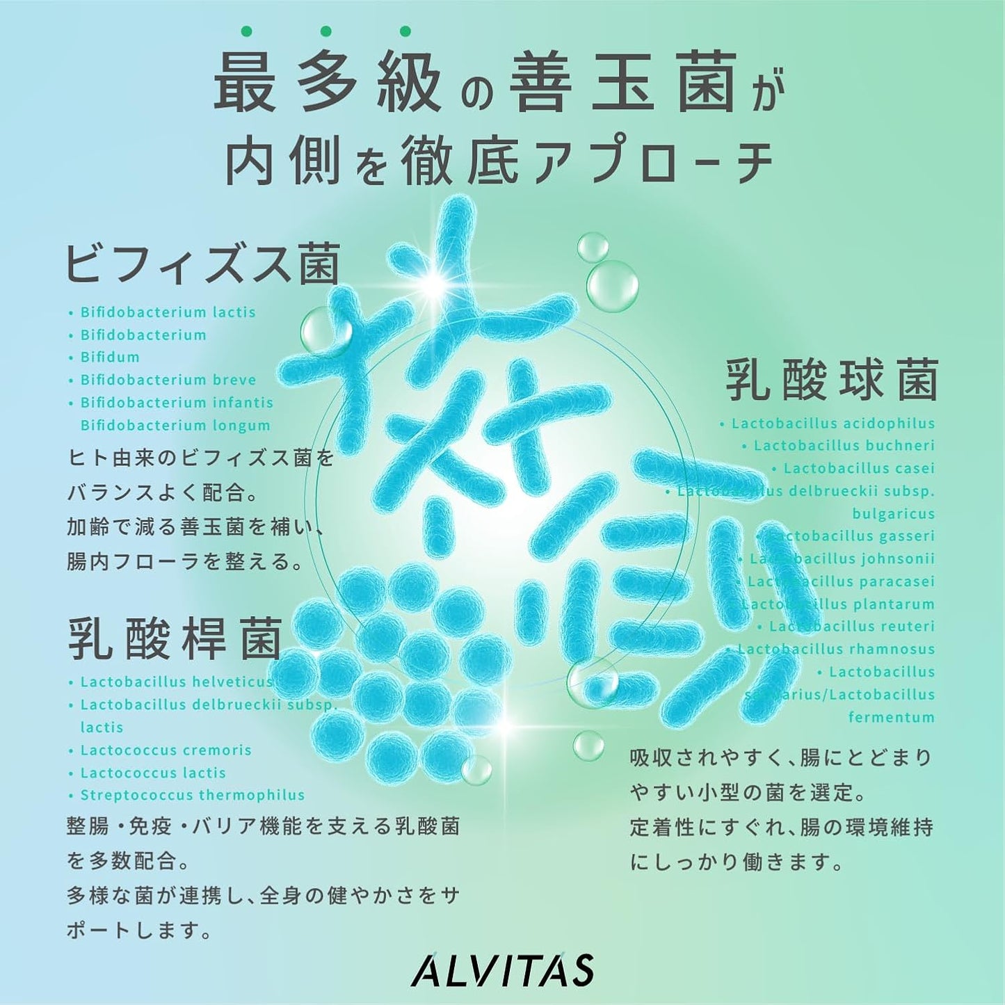 Reuteri Bacteria (High Concentration, 48 Billion Bacteria x 22 Types) Live Reuteri Bacteria Supplement, 30 Day Supply, Mint Flavor, ALVITAS, 22 Types of Lactobacillus Bacteria, 5 Types of