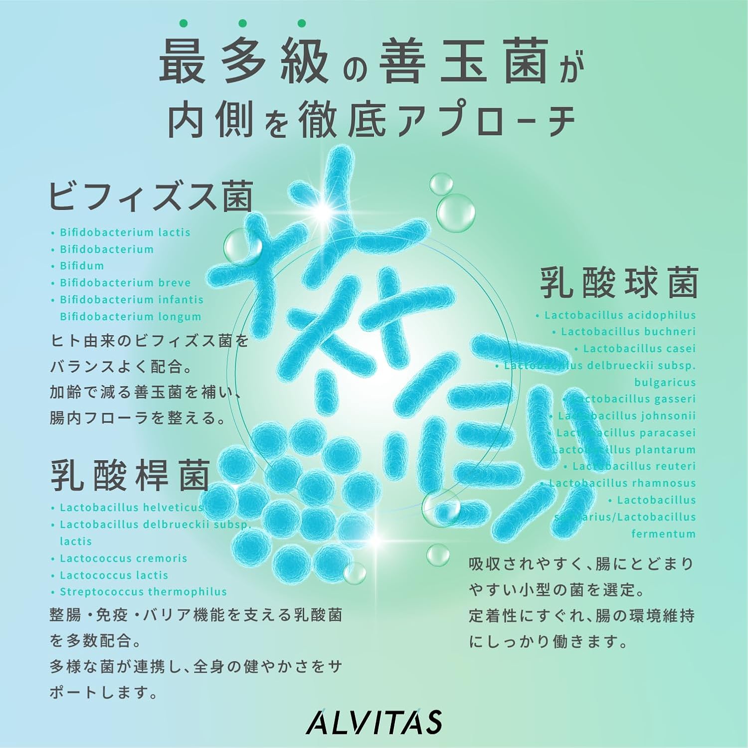 Reuteri Bacteria (High Concentration, 48 Billion Bacteria x 22 Types) Live Reuteri Bacteria Supplement, 30 Day Supply, Mint Flavor, ALVITAS, 22 Types of Lactobacillus Bacteria, 5 Types of