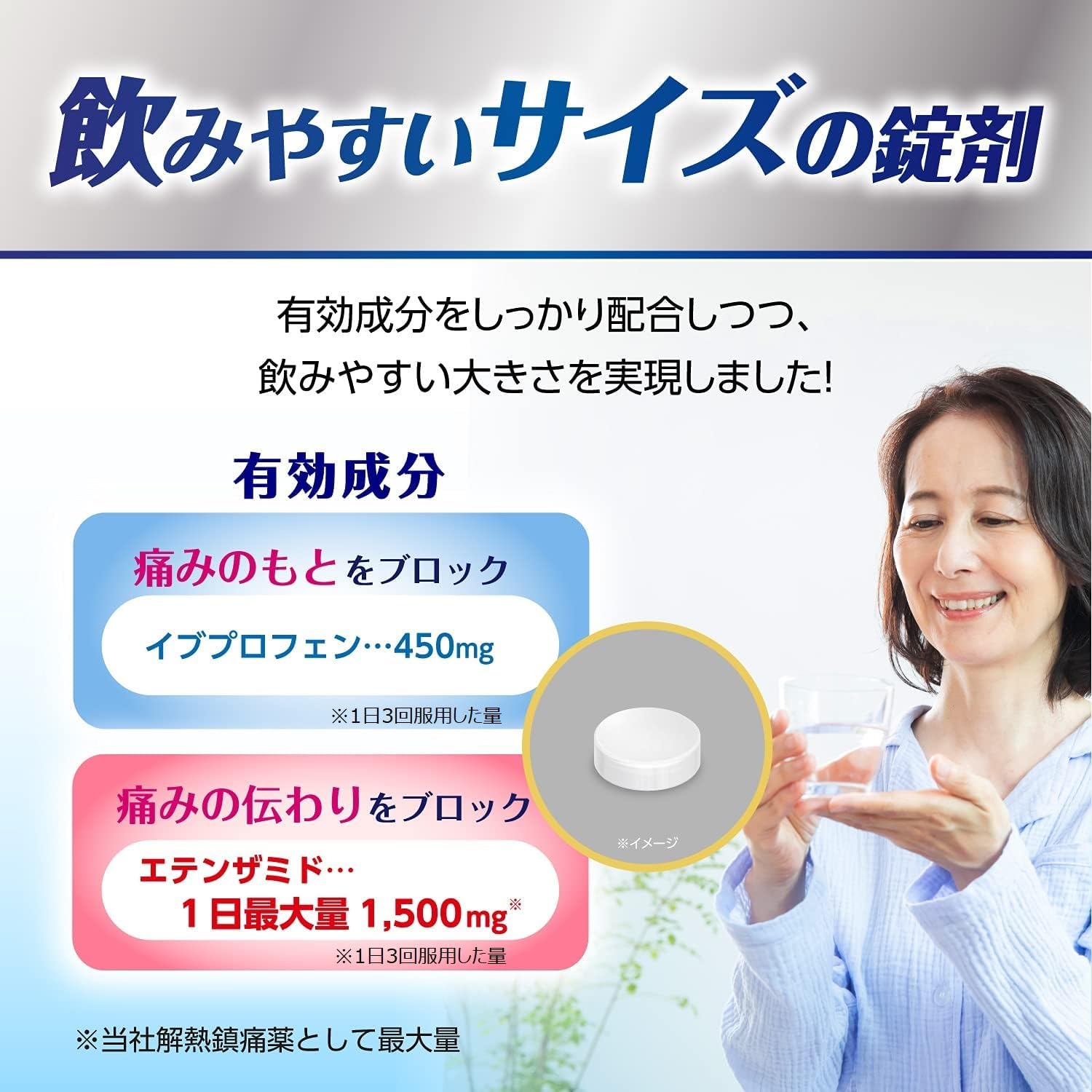 【指定第2類医薬品】ナロンエースプレミアム 12錠