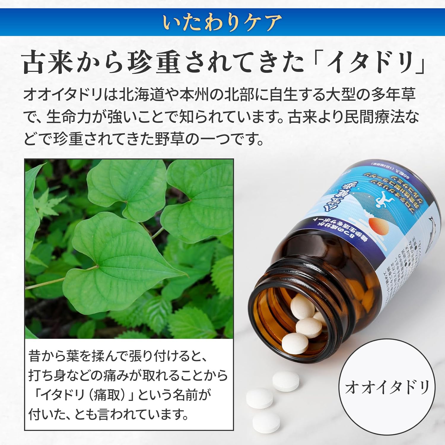 From 55 years old to maintain knee joint functions, Glucosame, Hyaluronic Acid, Proteoglycan, Collagen, and More, Made in Japan, 60 Tablets (30 Day Supplement)