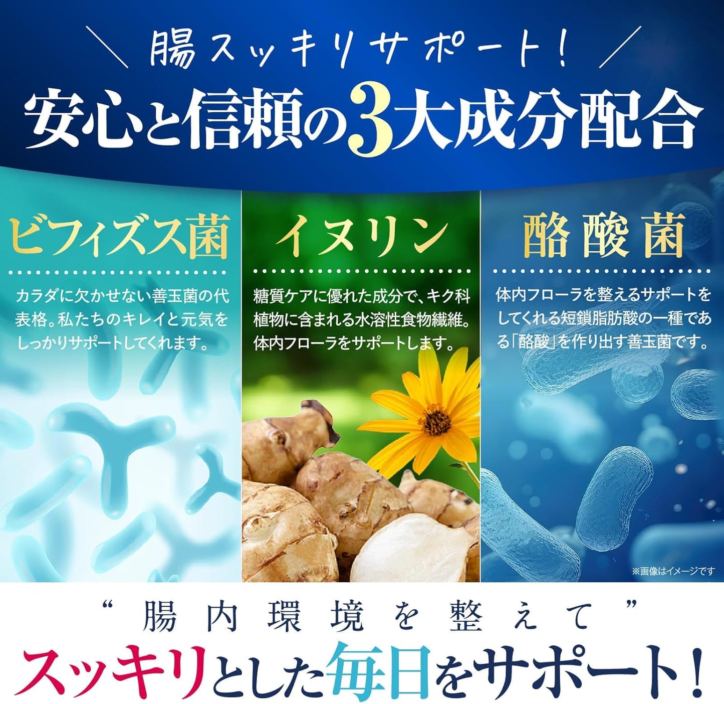 BACRIA Intestinal Activity Flora, 100 Million Lactic Acid Bacteria, Improves Conduction, Lifely Reaches Intestinal Environment, Food with Functional Claims, New Japan Health Supplement, 30 Tablets, 30