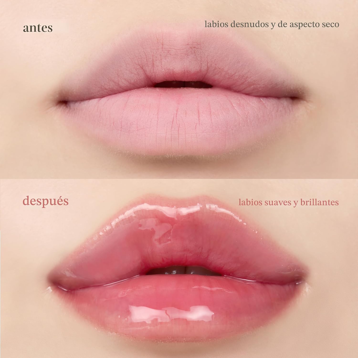 NOONI - Aceite coreano para labios, de larga duración, hidratante, revitalizante para labios secos, impermeable, relleno de calcetines para niñas adolescentes, 0.12 fl.oz, Appleplum