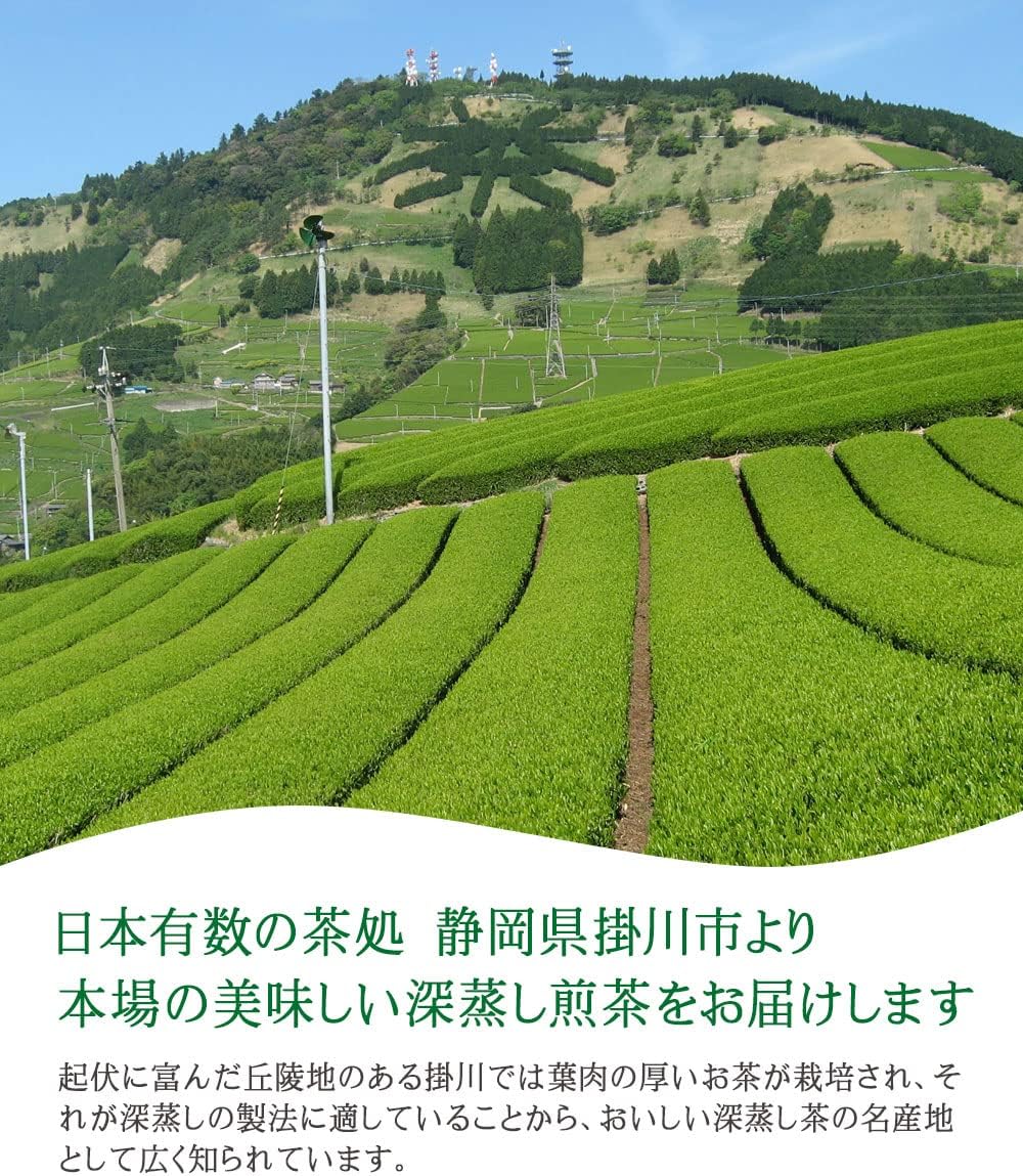 Shizuoka, First Picked Ichiban Tea, 100% Kakugawa Tea, Deep Steamed Kakawa Tea, Made in Kukukawa, Tea Leaves, Senior Tea, 3.5 oz (100 g) (Special Selection) (1 Bag)
