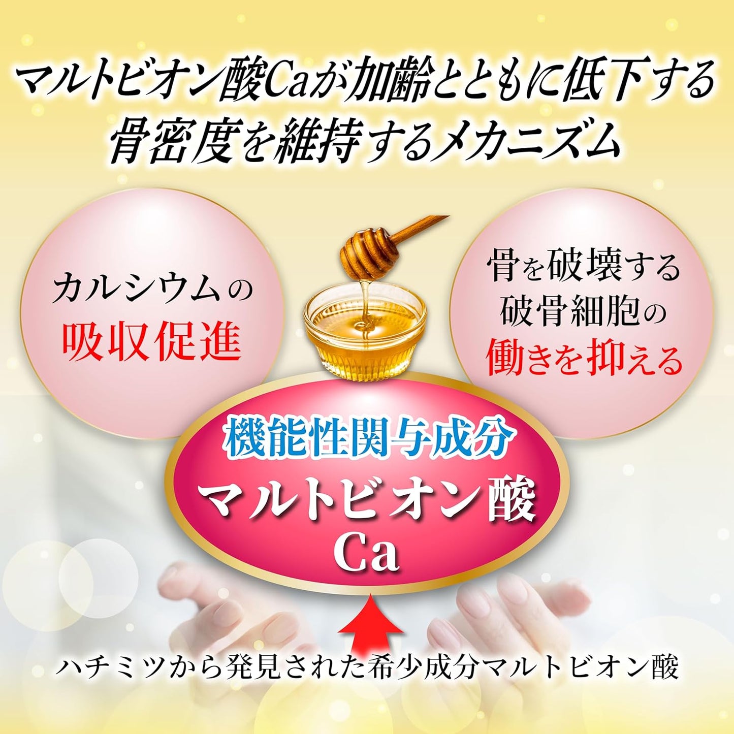 Wada Calcium Pharmaceutical (Ca Maltobionate + Plasma Lactic Acid Bacteria), Bone Density & Immune Care, Tablet, Plasma Lactobacillus Supplement, Calcium Supplement, Made in Japan, 120 Tablets (Food
