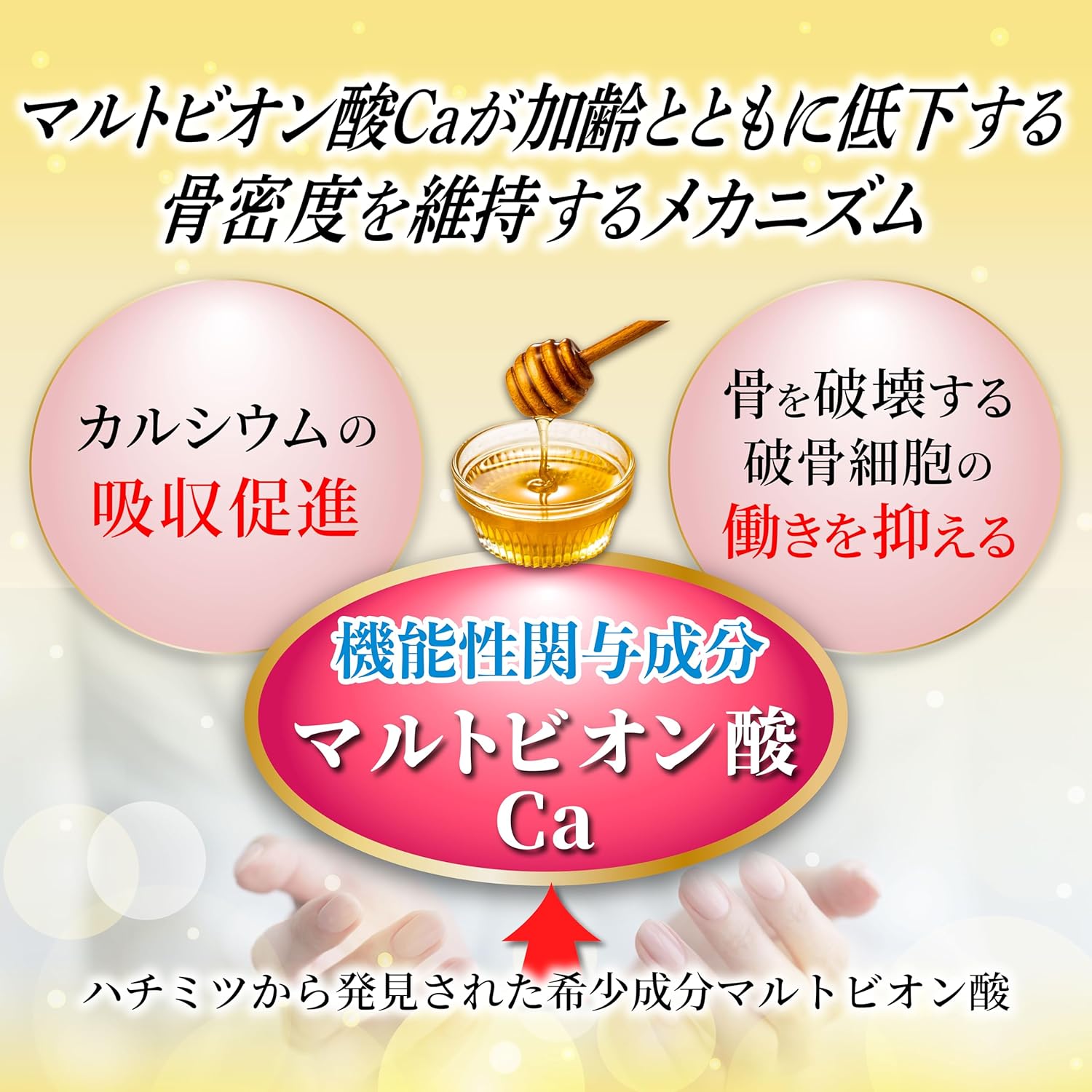 Wada Calcium Pharmaceutical (Ca Maltobionate + Plasma Lactic Acid Bacteria), Bone Density & Immune Care, Tablet, Plasma Lactobacillus Supplement, Calcium Supplement, Made in Japan, 120 Tablets (Food