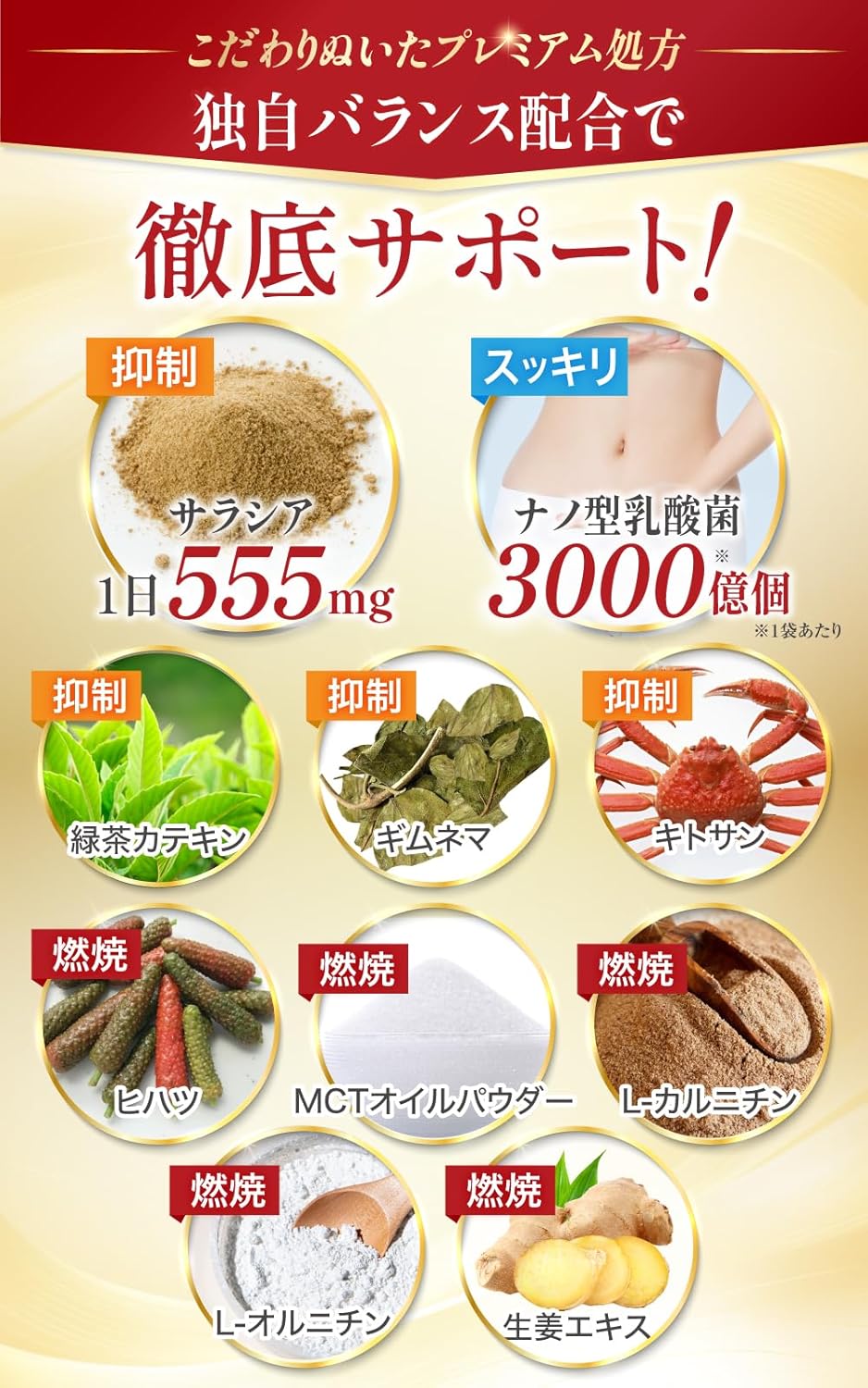 【Physician-Supervised】 Salacia 16650mg 【Carbohydrate x Fat W Barrier】【 Nano-type Lactic Acid Bacteria 30 Billion x 9 Selected Ingredients】GMP Domestic Factory Manufactured 90 Tablets 30-Day Supply