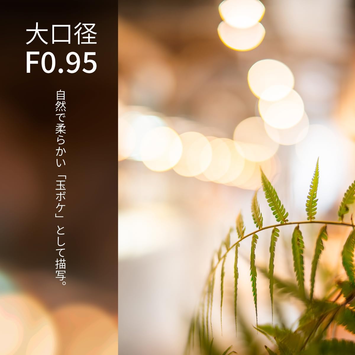 SG-image 1.4 inches (35 mm) F0.95 RF Mount, Black