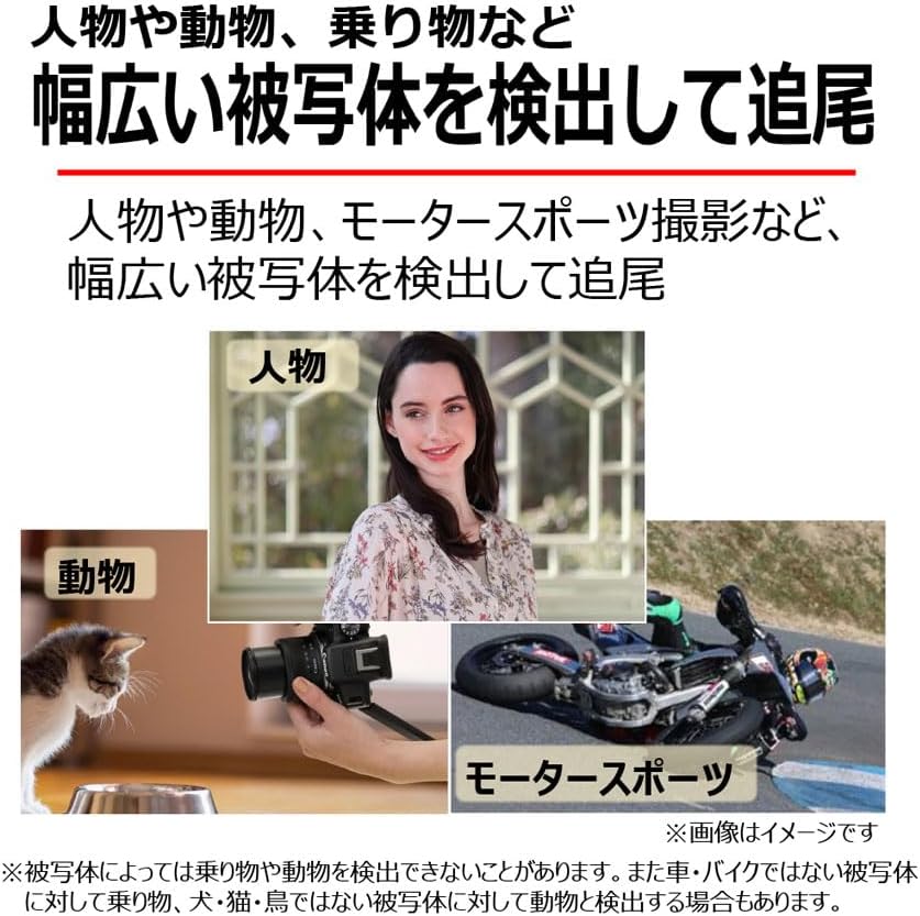 EOS R10, RF-S18-45 IS STM Lens Kit