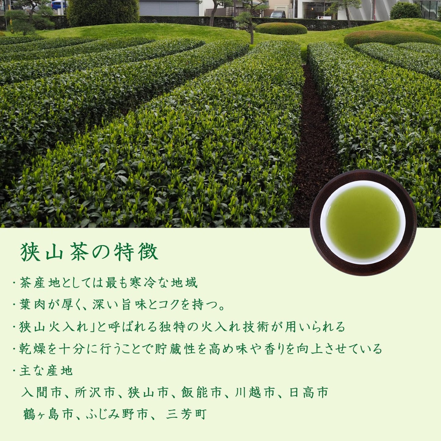 Nodayama Tea, Deep Steamed Tea, Japanese Tea, Green Tea, Sencha, Leaf Tea, Ichiban Tea, First Picked, 3.5 oz (100 g) (1 bag)