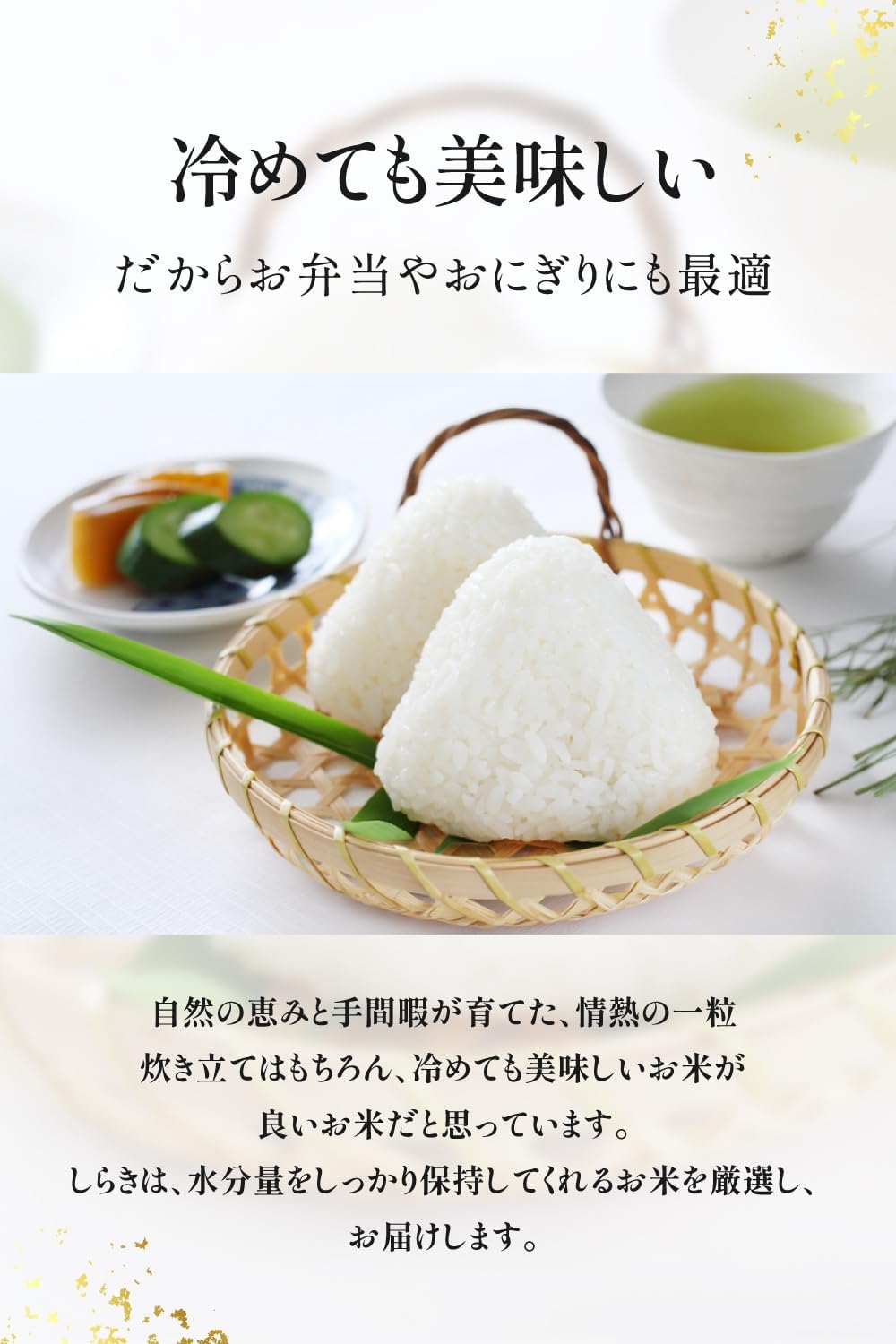 新米予約 令和8年産 白米 27kg ヒノヒカリ 【熊本県産・阿蘇の自然水育ち】
