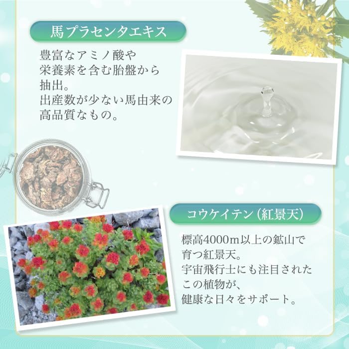 Ginza Marukan Mecha Young [Set of 2]