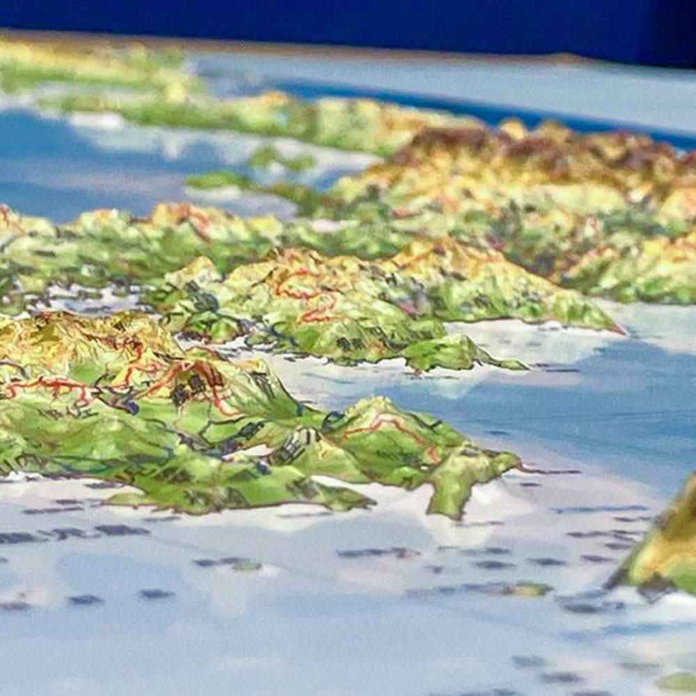 SOMA PALCCOAT 3D Japan Map Calendar, 2026 Version, Antibacterial Treatment, 27.0 x 17.3 inches (685 x 440 mm), Map, Hand Molded by Artisans